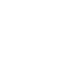 list item image
