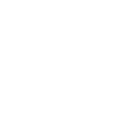list item image