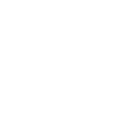 list item image