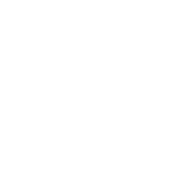 list item image