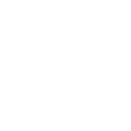 list item image