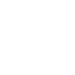 list item image